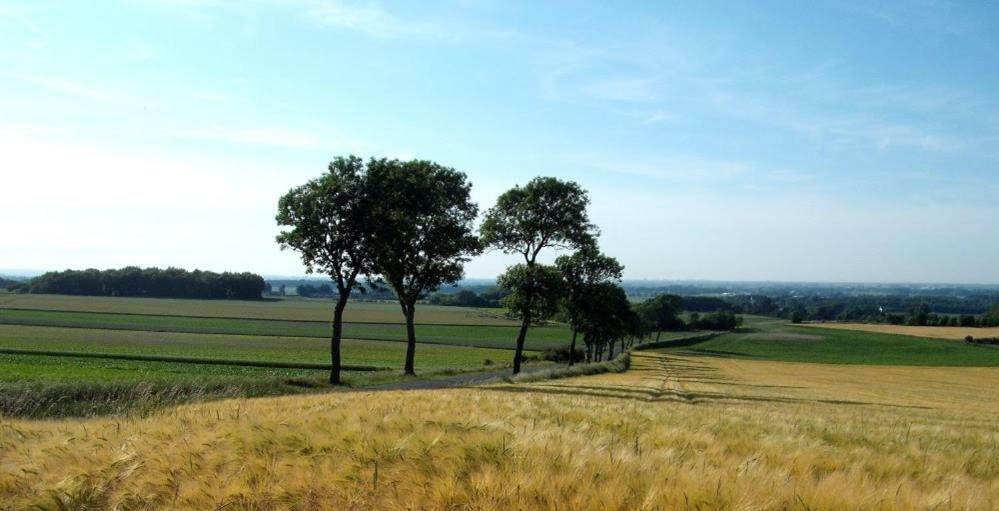Camping Pommiers Des Trois Pays Licques Екстериор снимка